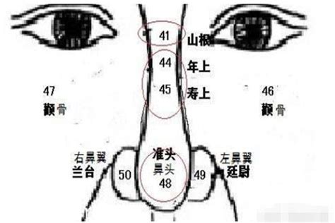 左鼻孔內有痣|鼻子左邊有痣代表什麼 教你如何通過痣看面相